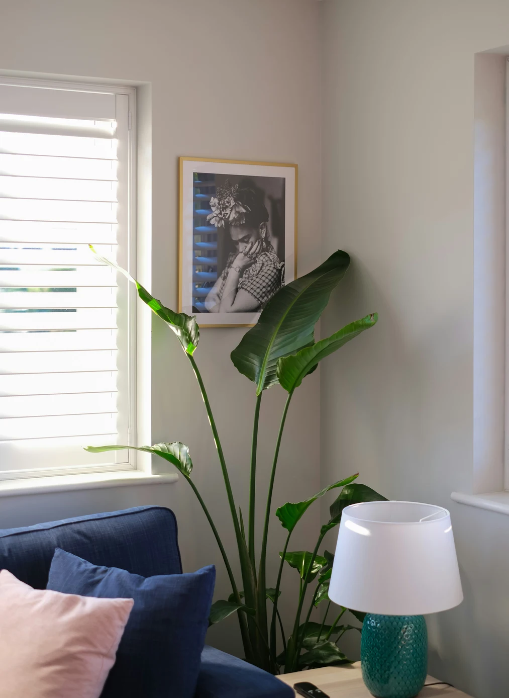 Strelitzia in an apartment